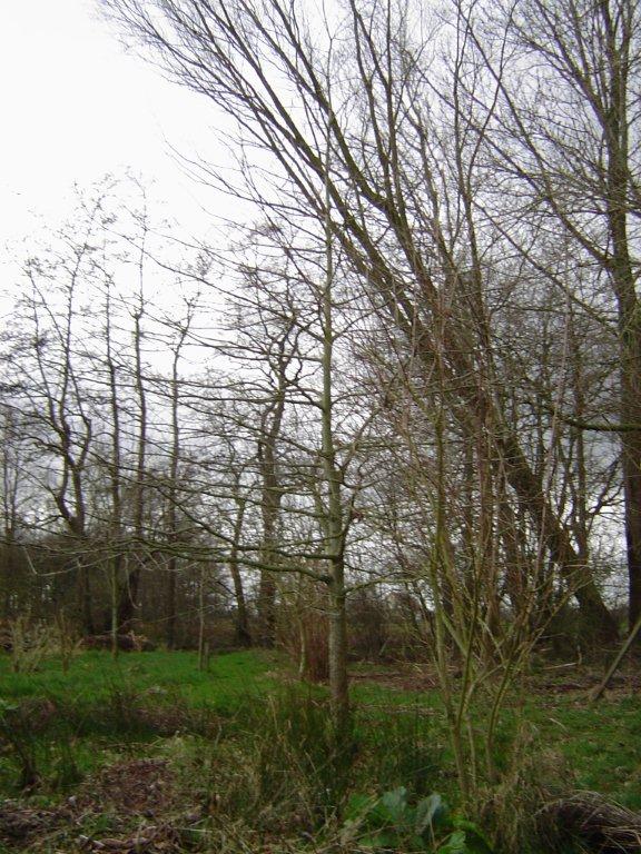 1272_379deea34b330fdd5223b8708c174d19.jpg