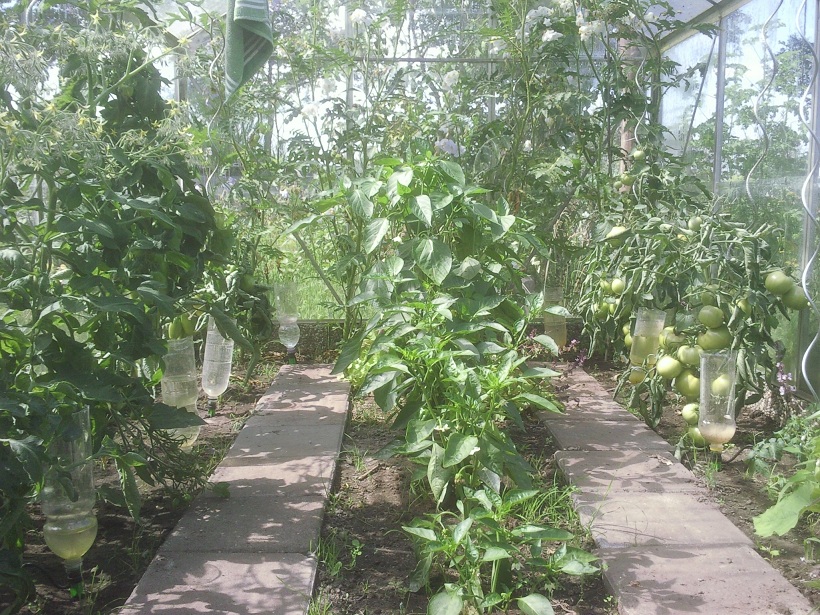 92_d935a0879878d36f83d1289eb0fb1bbb.jpg