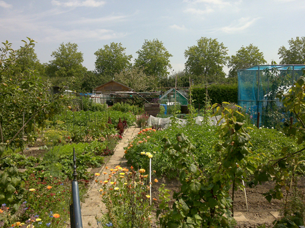 05072011530.jpg