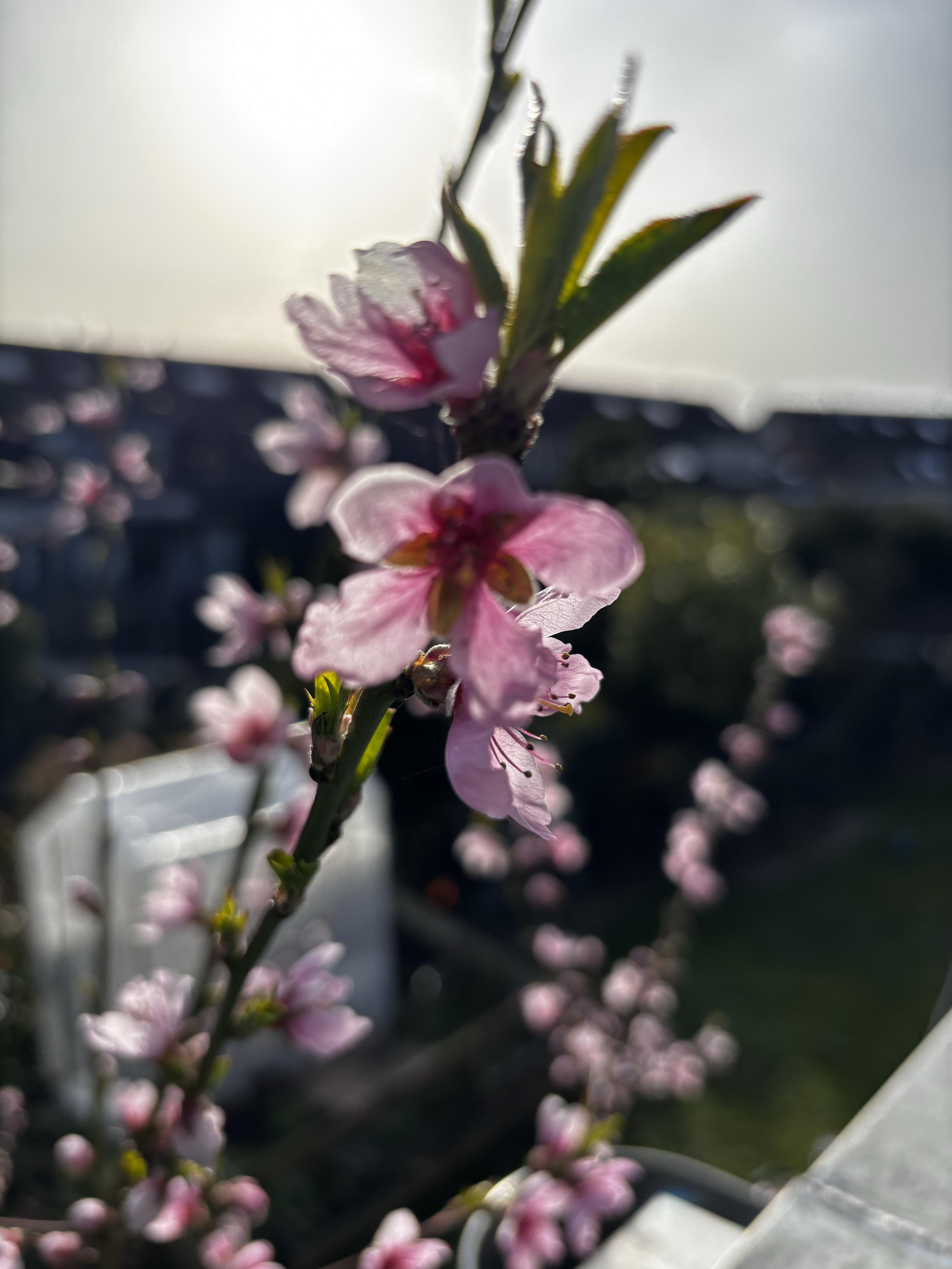 06faa7e268fe3ccd44fc335633d78f74.jpg