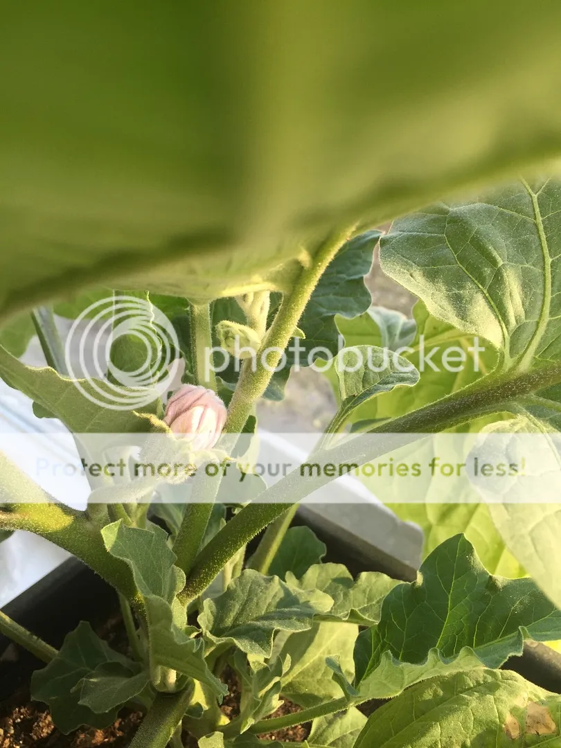 0E428846-47A0-4EC4-AC4C-BFECCB237CF5.jpg