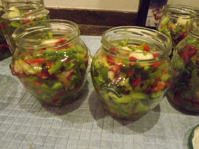 19603383dv.jpg