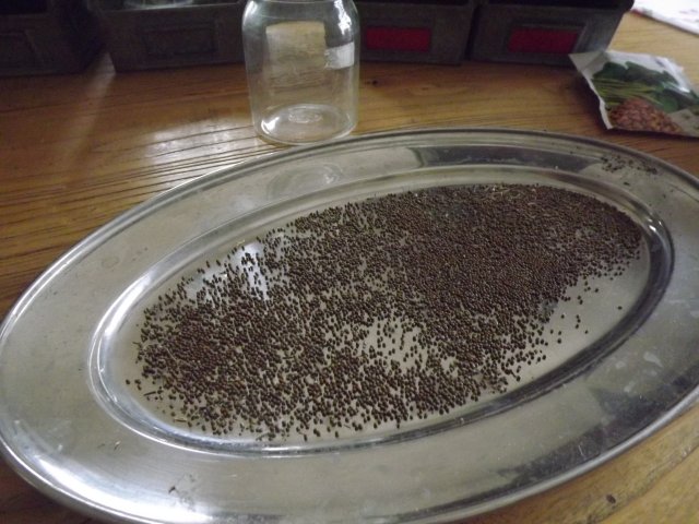 20028127jo.jpg