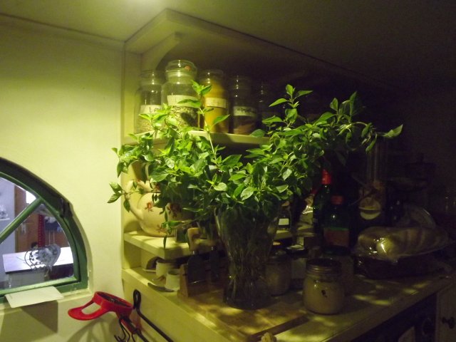 20043703kf.jpg