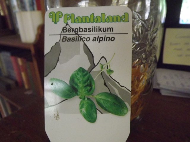 20044788qt.jpg