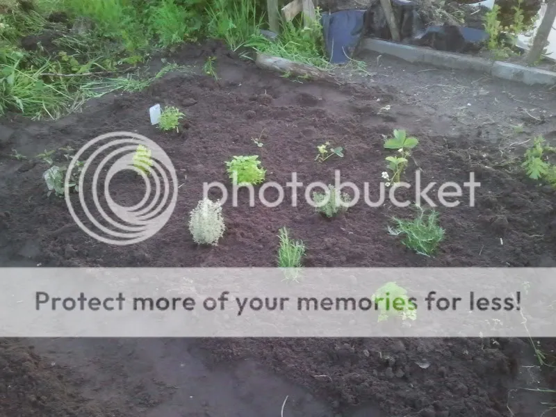 2012-05-16212156.jpg