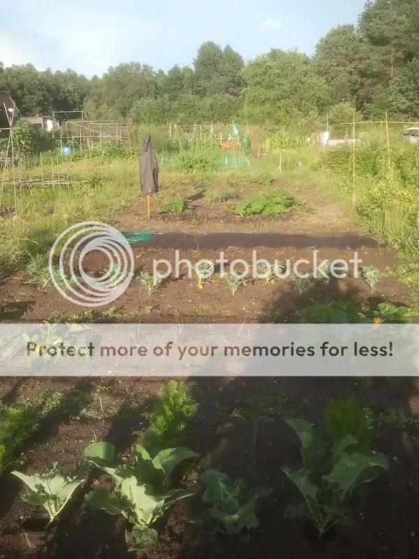 2012-07-11180634.jpg
