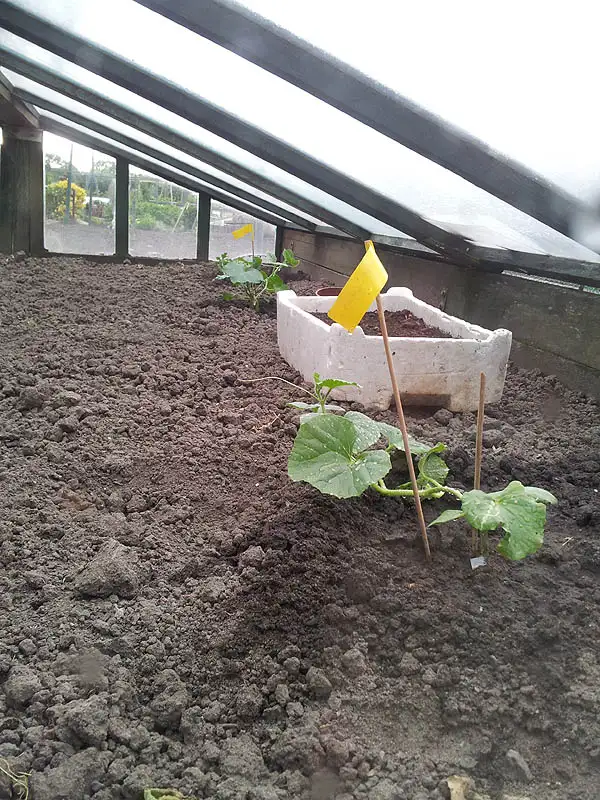 20120611174534.jpg