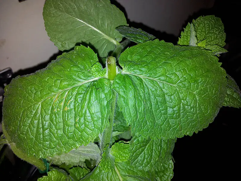 20120615223335.jpg