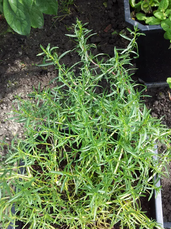 20120616161904.jpg