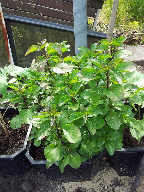 20120616161944.jpg