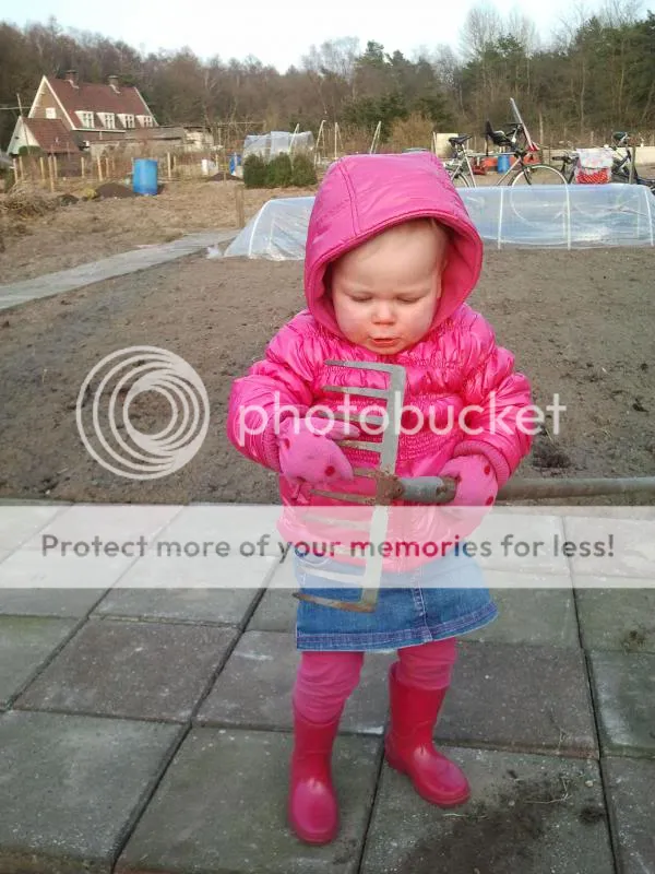 2013-04-03170651_zps7ce723f7.jpg