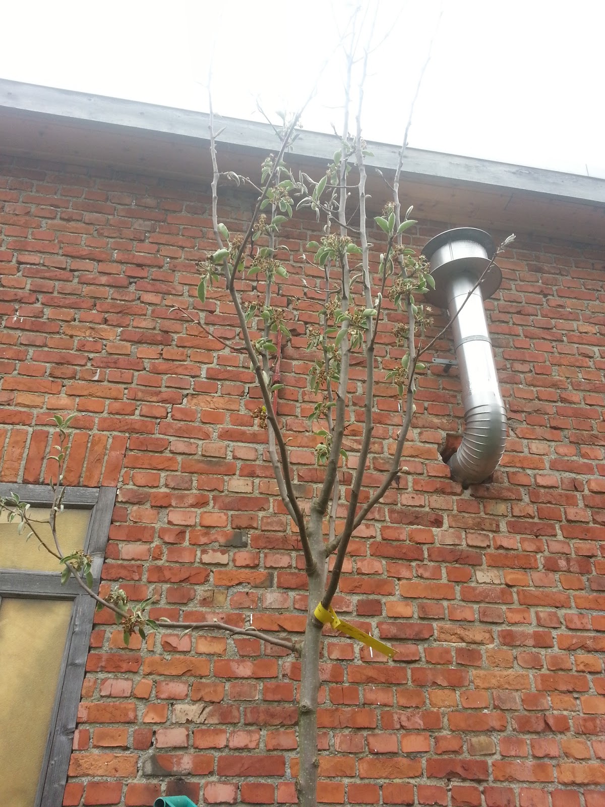 20130508_150539.jpg