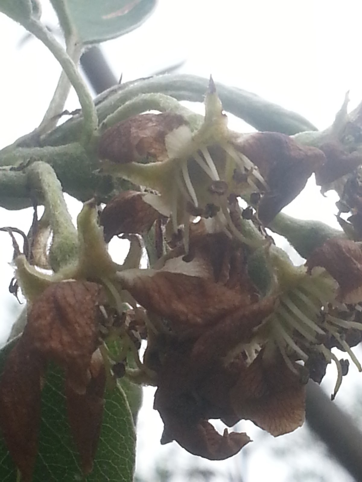 20130508_150550.jpg