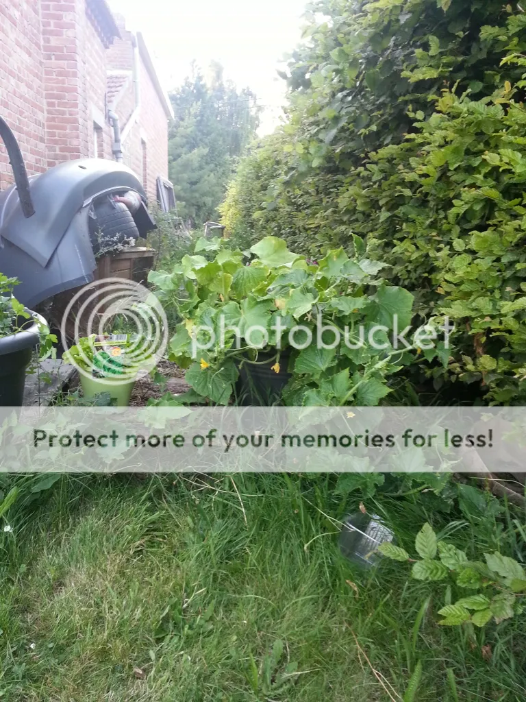 20130718_210259_zpsbcf4f0e0.jpg
