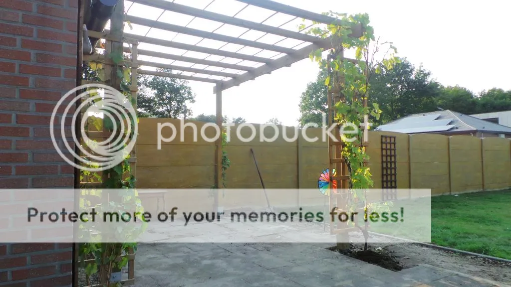 20130828_182505_zpsfe36cb01.jpg