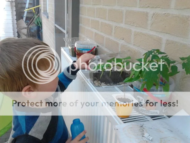 2014-04-19163551_zps93e699e1.jpg