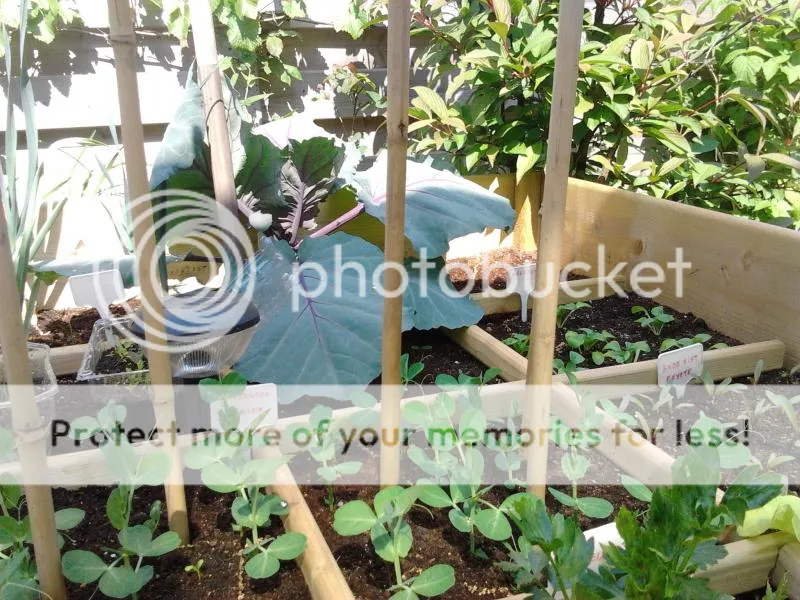 2014-04-23132629_zps2127436a.jpg