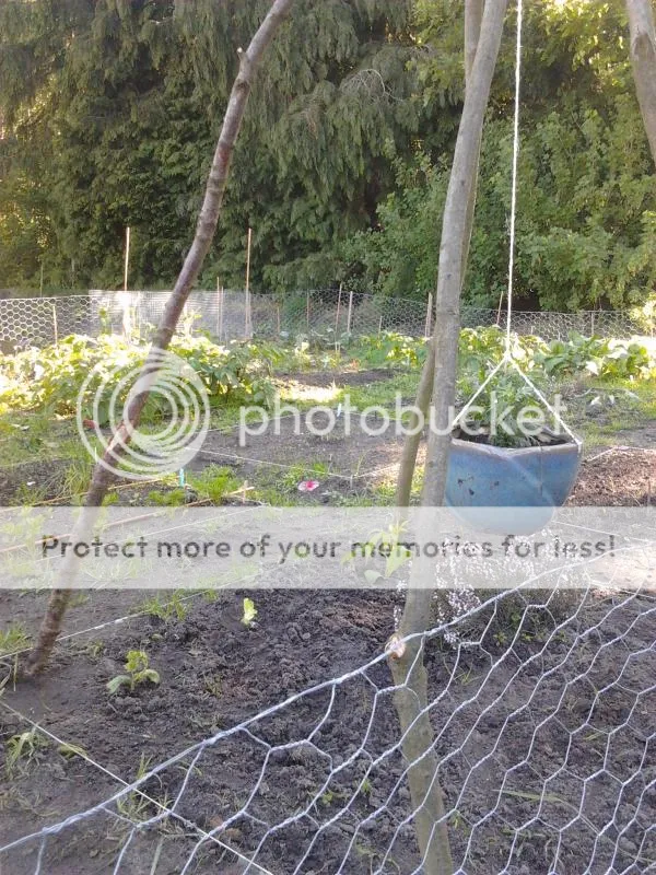 2014-05-16100615_zps81c4d8d6.jpg