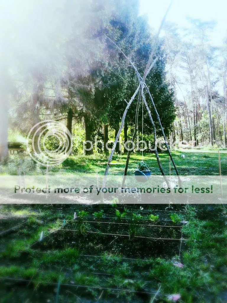 2014-05-16100659_zps96123feb.jpg?t=1400174117