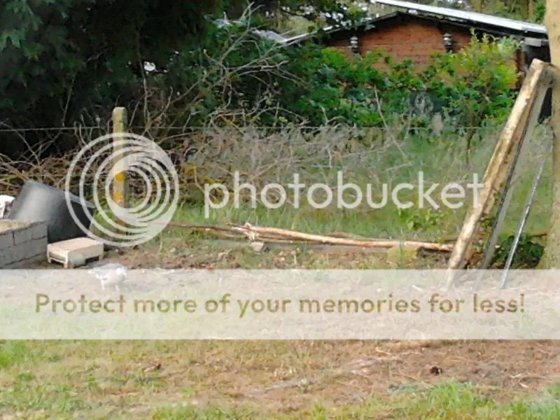 2014-05-31205438_zps0c5ca1ee.jpg