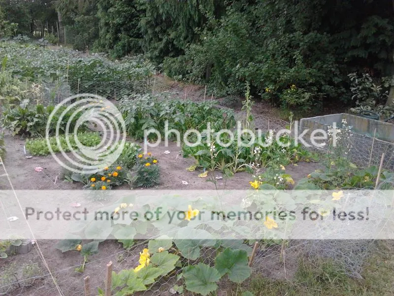 2014-06-25095634_zps047fd5ce.jpg