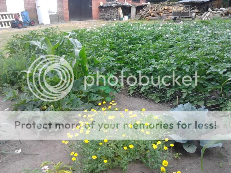 2014-06-25095709_zpsfc7d0b62.jpg