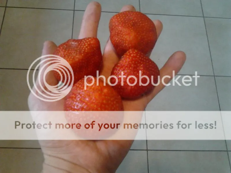 2014-07-12153349_zps7477d795.jpg