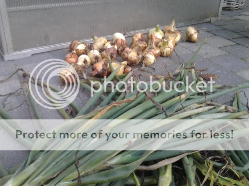 2014-07-14212728_zps0ac88c84.jpg