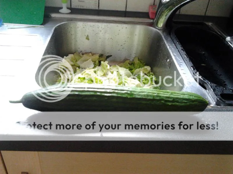 2014-07-25164100_zps7f8b91e1.jpg