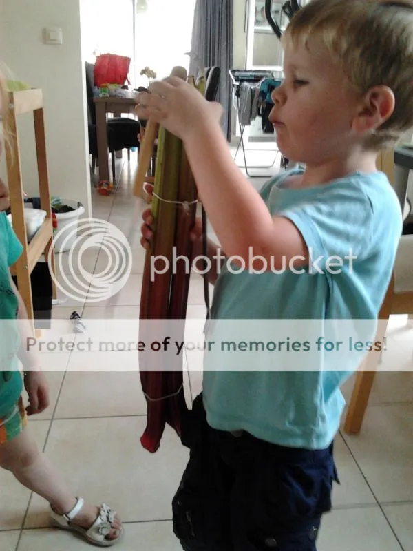 2014-07-25164155_zpsca530204.jpg