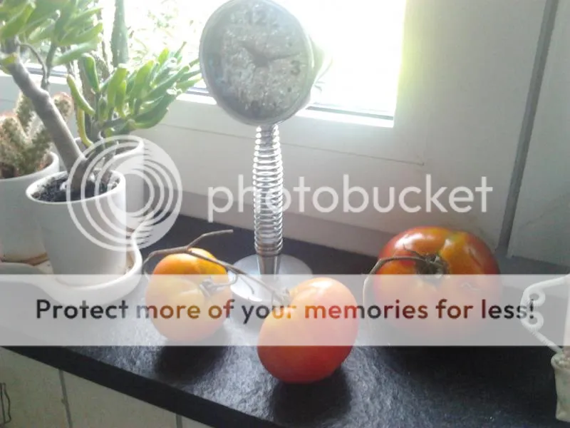 2014-08-13111012_zpsdfe3bf13.jpg