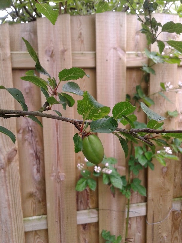 20140511_153947.jpg