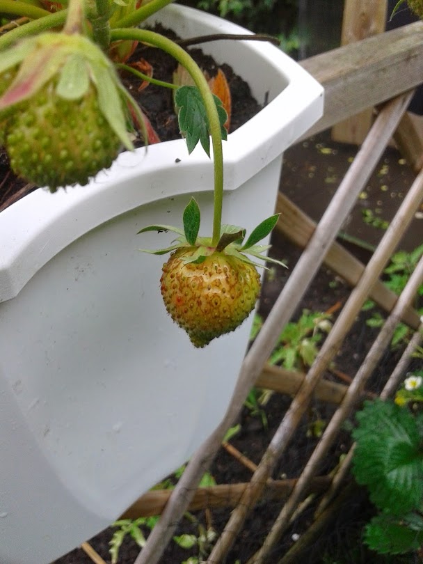 20140511_154059.jpg
