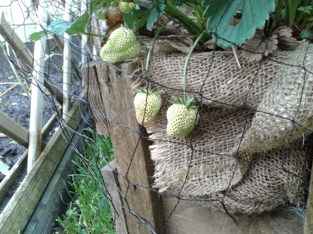 20140511_154104.jpg