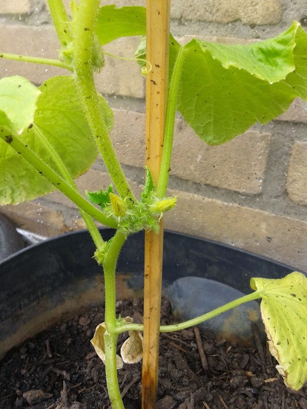 20140511_154133.jpg
