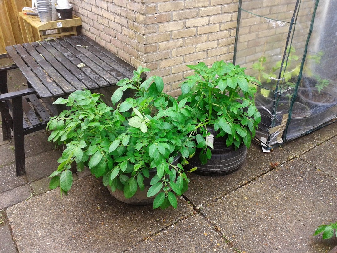 20140511_154210.jpg