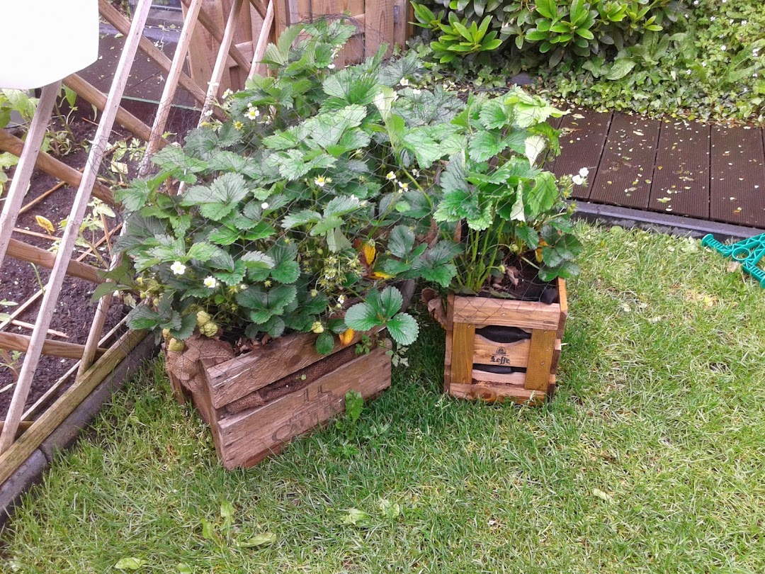 20140511_154244.jpg