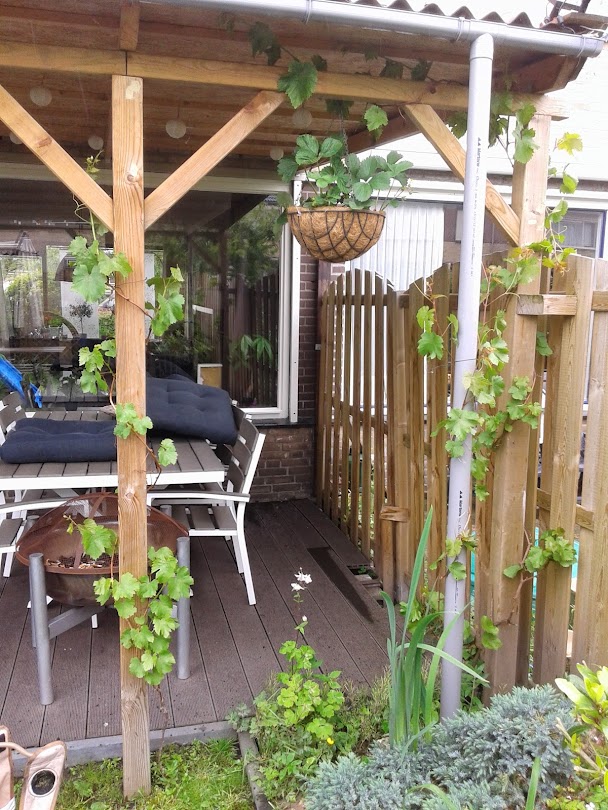20140511_154251.jpg