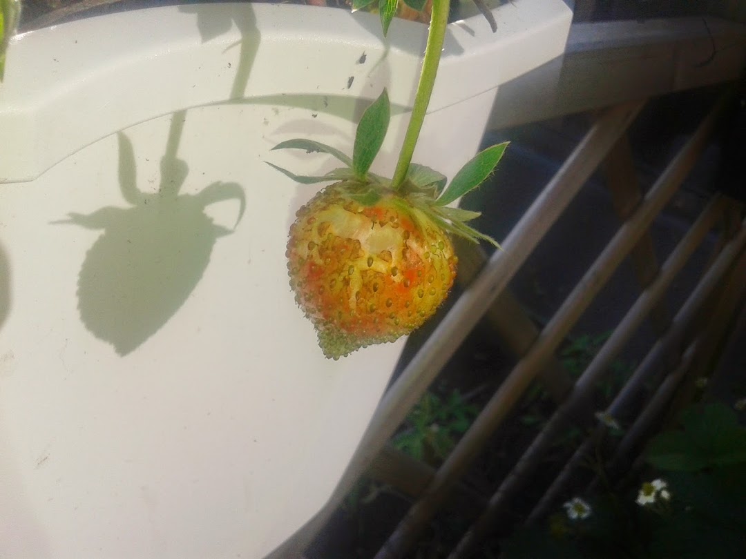 20140513_185731.jpg