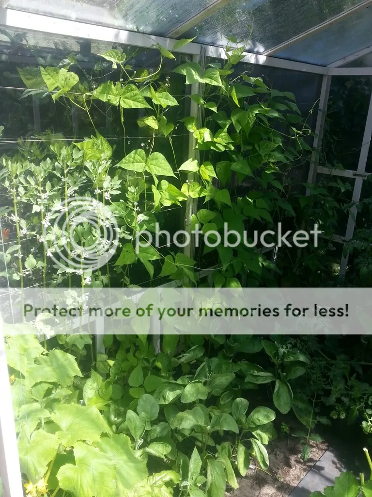 20150616_153035_resized_zpskxt0cz86.jpg