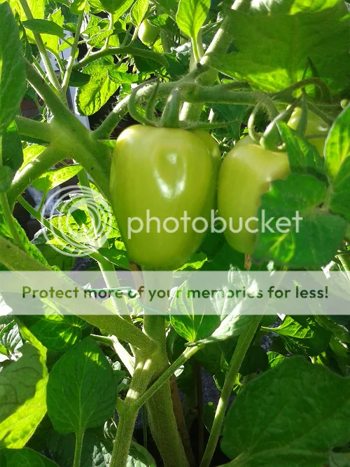 20160804_1750311.png