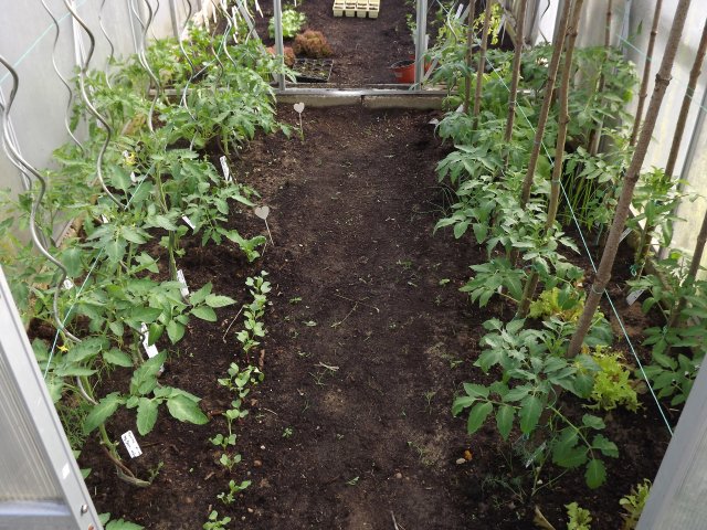 22008150ul.jpg