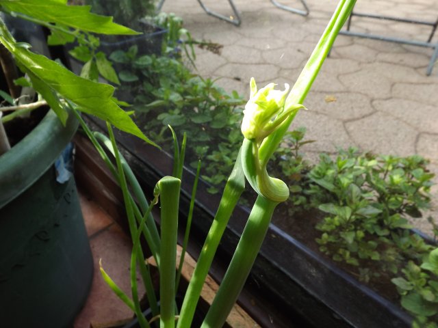 22008197kl.jpg
