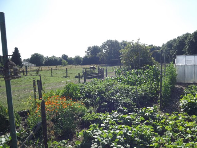 22410528sw.jpg