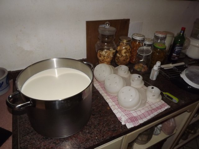 23551023qe.jpg