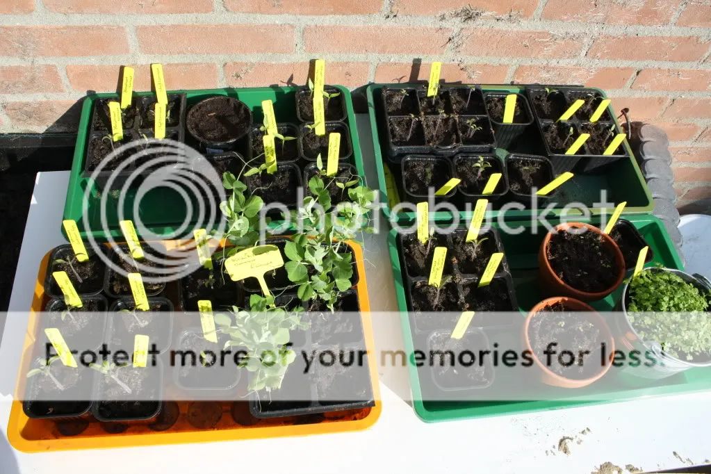 281.jpg
