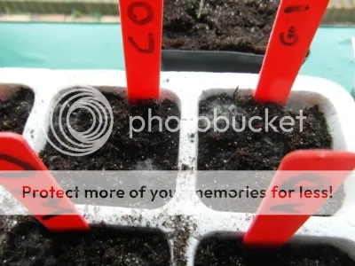 38719040-121b-4cf7-975d-293f0550bc66.jpg?t=1392373879