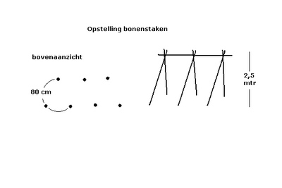 400px-Bonenstaken.PNG