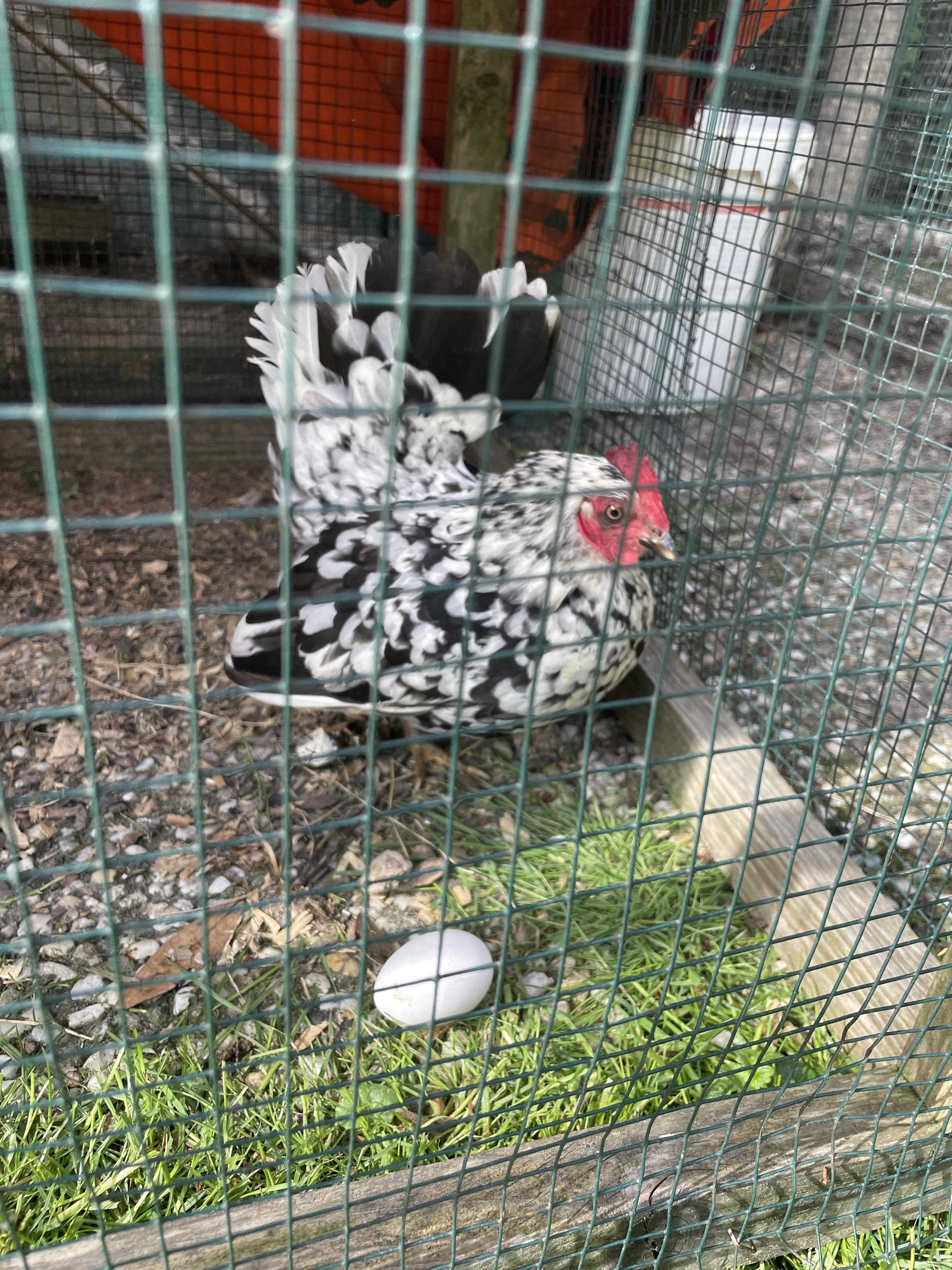 4a3c0bdac6b2fd1d7a28bfe0c2bc8215.jpg